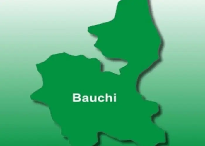 Blind association donates braille to Bauchi special school