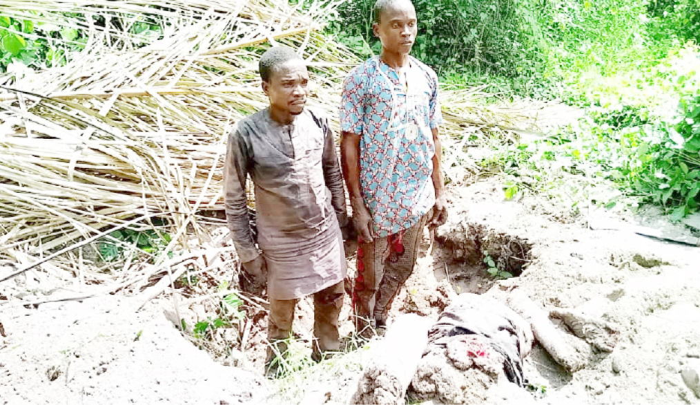 Amotekun arrests 2 men over murder of herder in Ogun