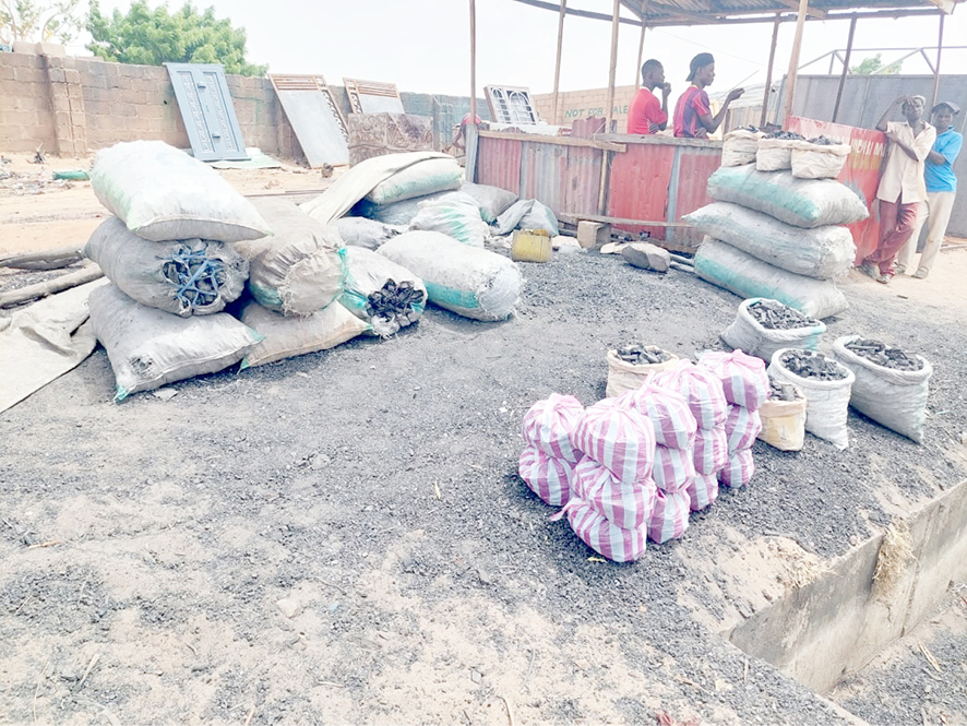 How charcoal merchants deplete Gombe forest reserves