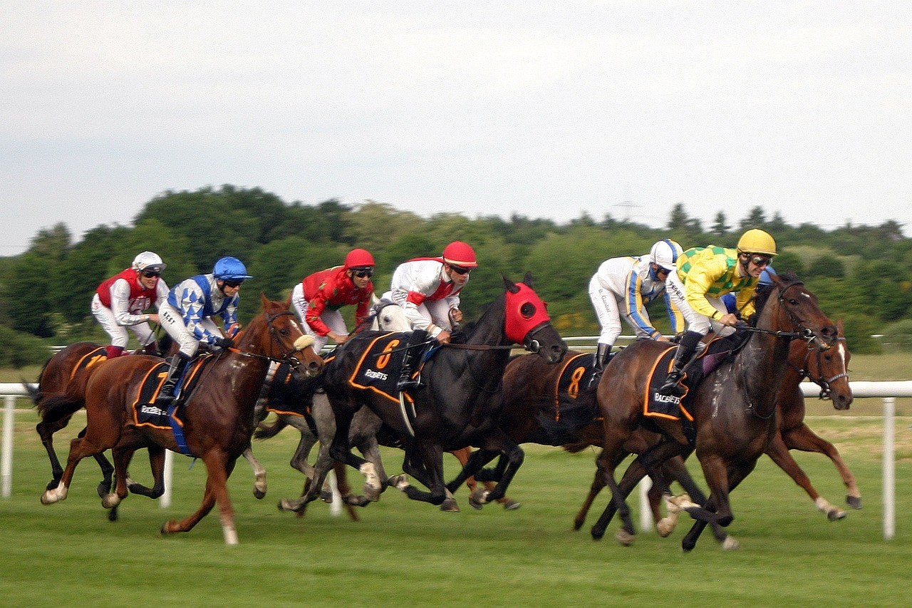 Tinubu’s horse wins Bida horse racing tournament