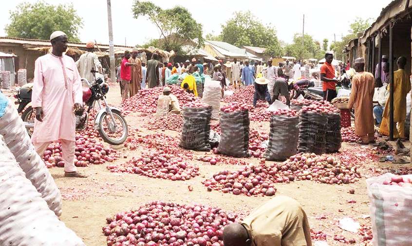 Nigeria loses $420m annually due to onions scarcity