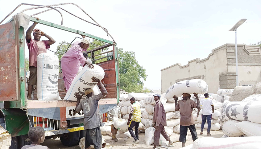 Zabarmari processors, customers decry shortage of rice paddy