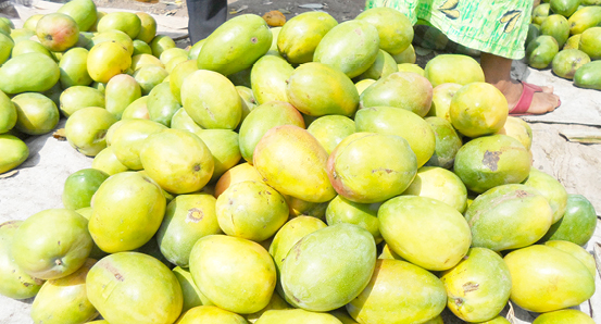 AGRO SOLUTIONS: How to know if mango is ripened with chemicals - Daily Trust