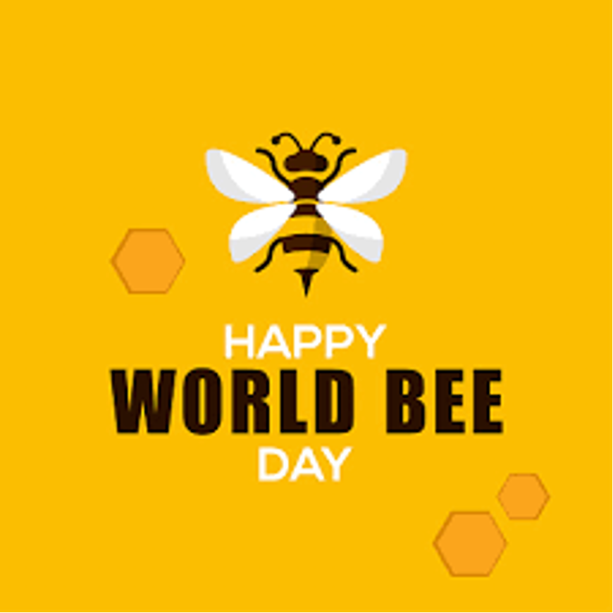 World Bee Day Nigeria can diversify economy through beekeeping