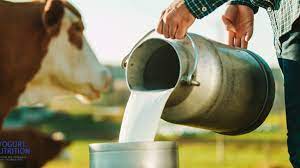 Danish govt, others boost milk production to 2,500 per day – Foundation