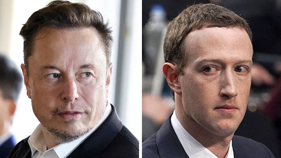 Musk, Zuckerberg call out each other for cage fight