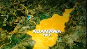 Don’t relocate Agric varsity from Mubi, Adamawa indigenes tell FG