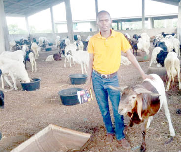 Adamu Tilde: Young farmer eyes egg powder, banana stem sanitary pads production