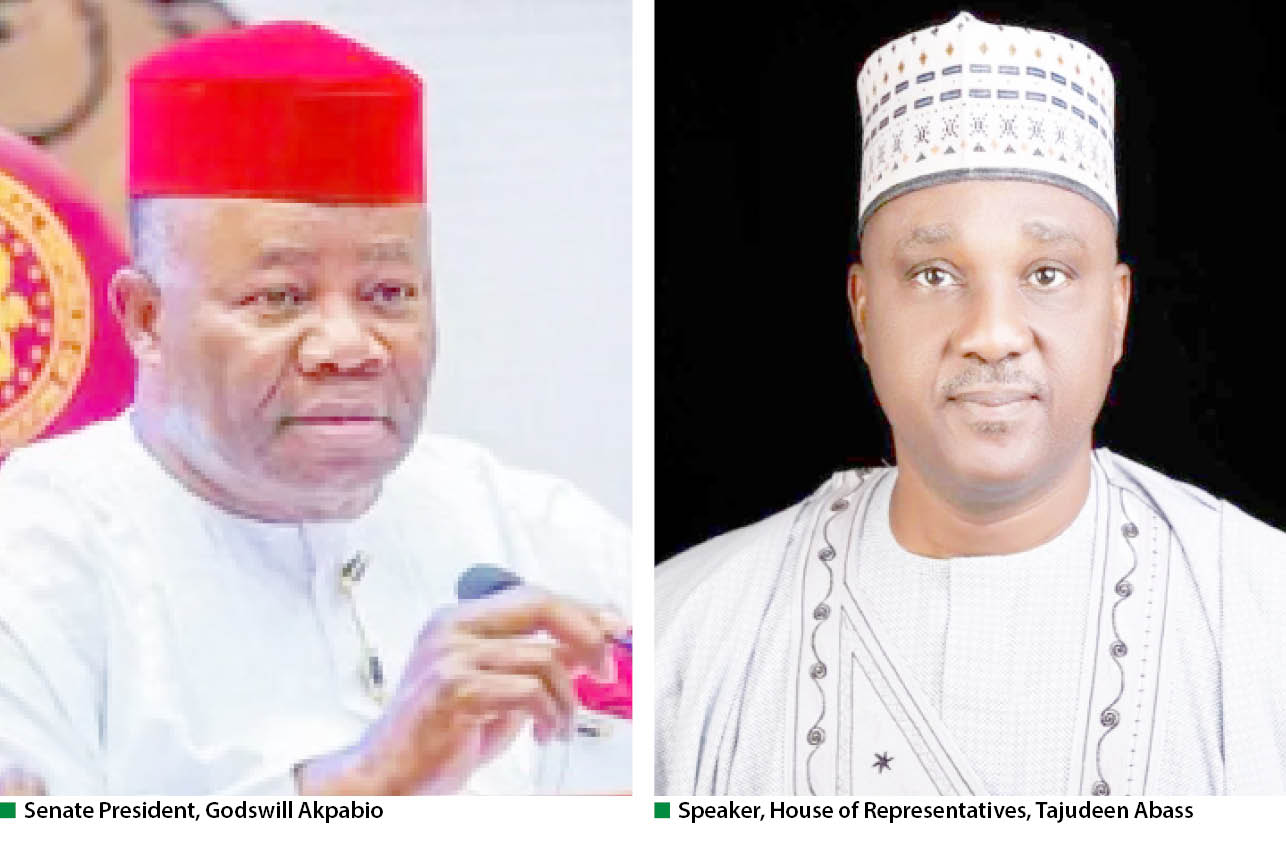 Countless ad hoc c’ttees in NASS despite 224 standing ones