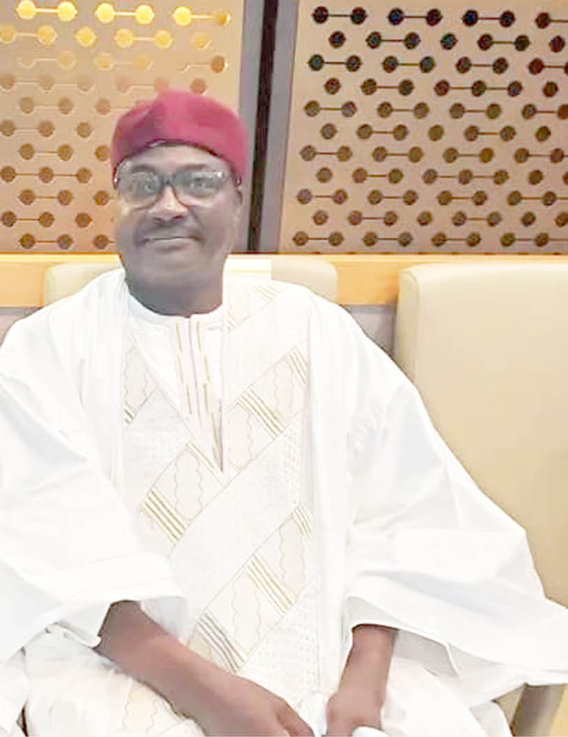 Niger coupists unpopular, hire illiterates to attack politicians – Bazoum’s party chieftain