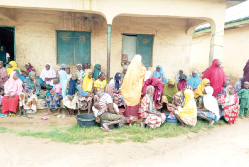 How widows survive in Niger IDP Camps after bandits killed husbands