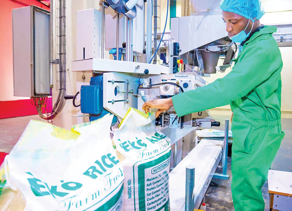 NIGERIA DAILY: Real Reason Why The Price Of Nigerian Rice Is High