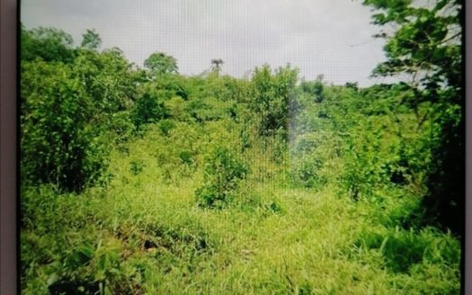 How woman, daughters were forced out of their car in Abuja, marched into Kuje forest