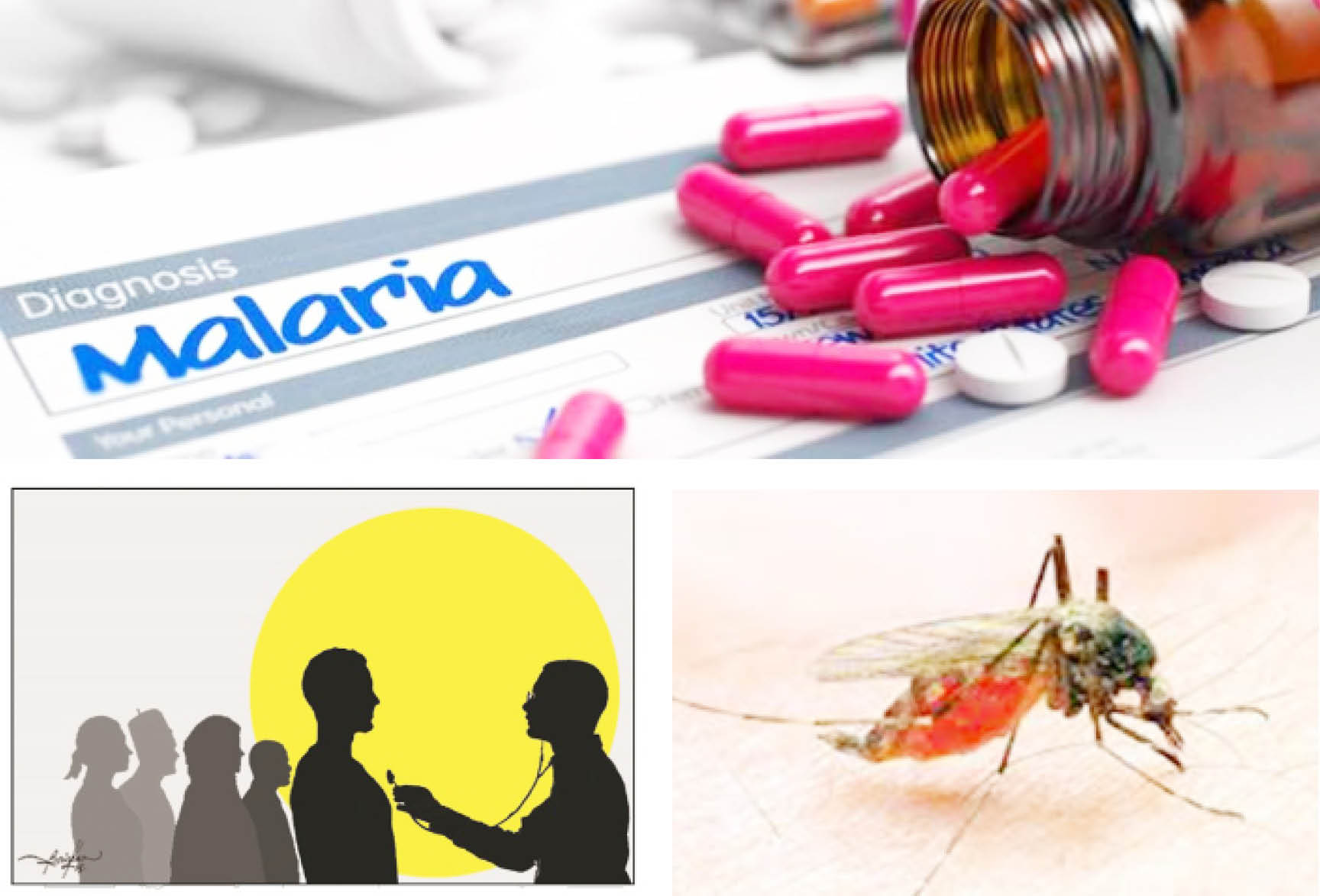 NIGERIA DAILY: How Malaria Almost Ended My Life- Victim