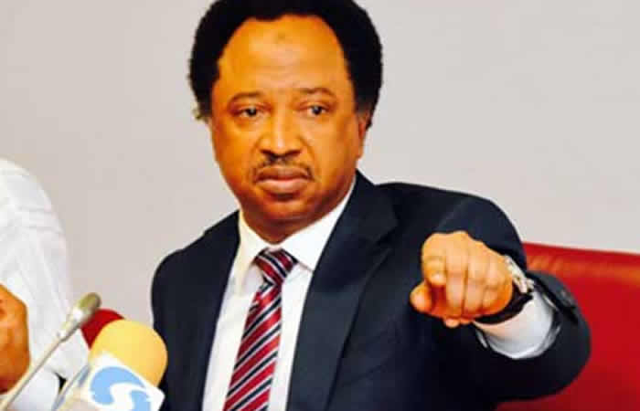 Tribunal: Justice becoming a Ludo, Shehu Sani reacts to some judgments