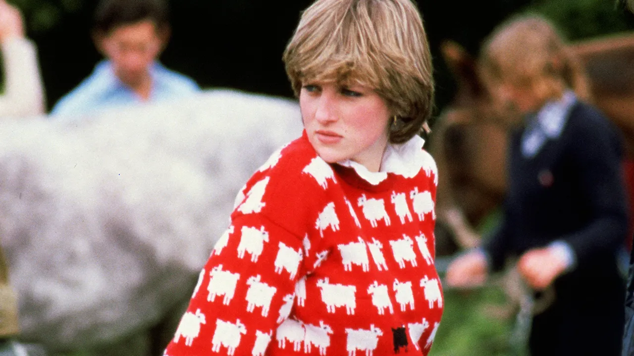 Princess Diana’s ‘Black Sheep’ sweater sells at auction for .1 mn