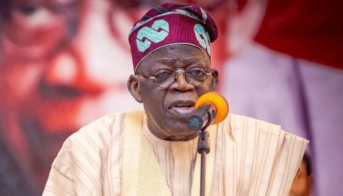 Tinubu pledges support to AU, warns those struggling to steal power