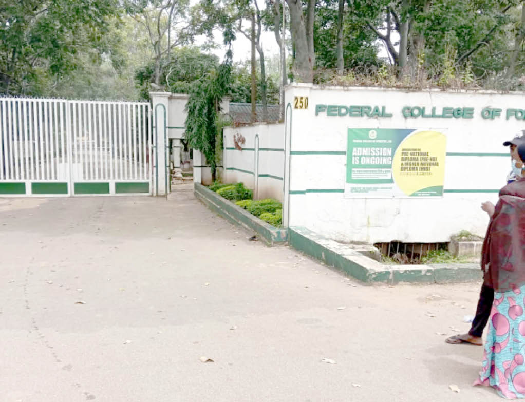 Jos College of Forestry: Parents, students raise alarm over sexual harassment by lecturers