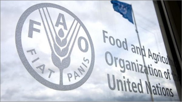 Food and Agriculture Organisation (FAO) of the United Nations (UN).