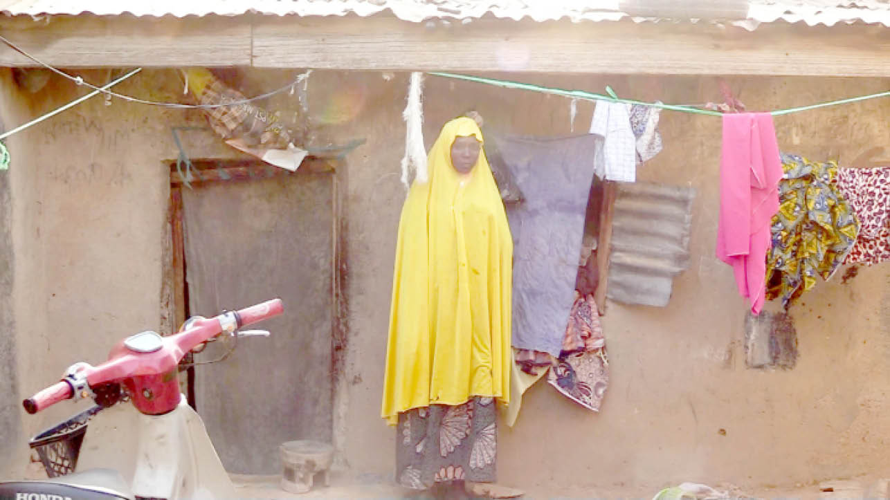 Meet Gambo Haruna, Kano widow pushing wheelbarrow to feed 6 children