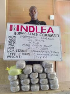 NDLEA arrests wanted kingpin attempting to ship illicit drugs to UK