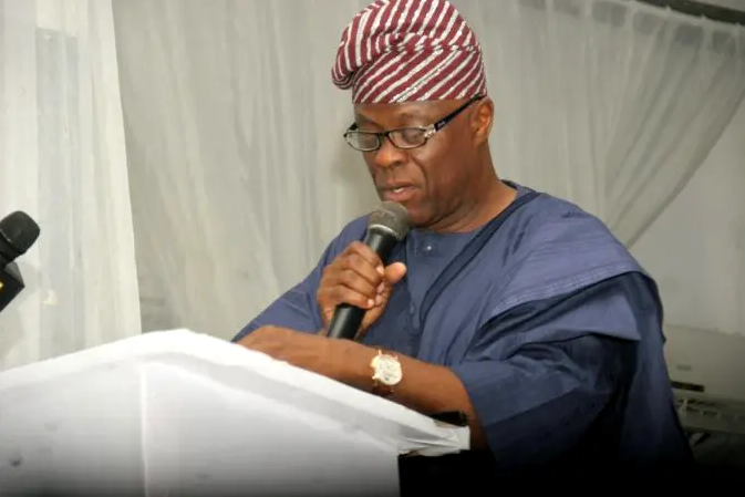 Wale Edun: Tinubu’s Economic Reforms Won’t Yield Results Now