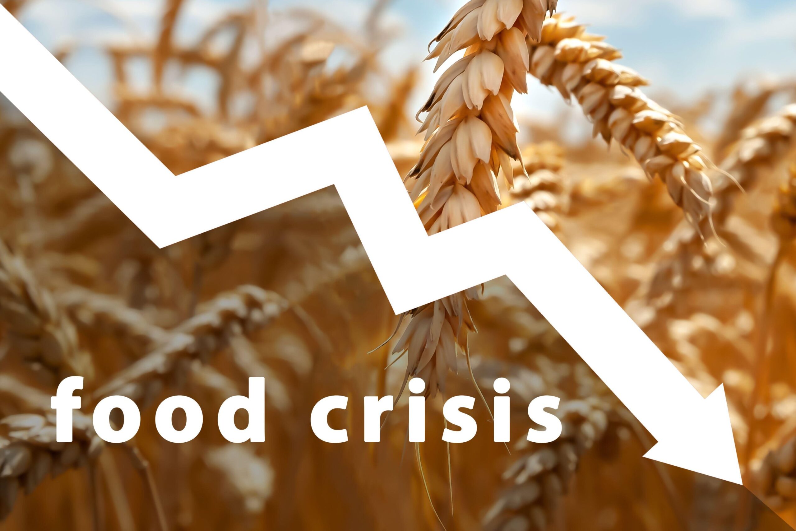 Food crisis: Soaring food prices, food insecurity and climate change ...