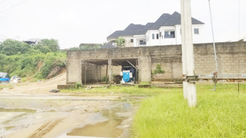 Cross River garments factory abandoned for reptiles, rodents, weeds