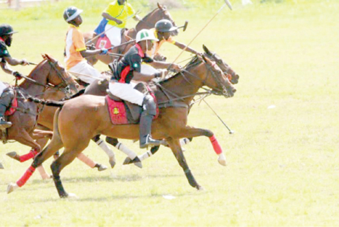 Keffi, Abuja bubble for international Polo fiestas