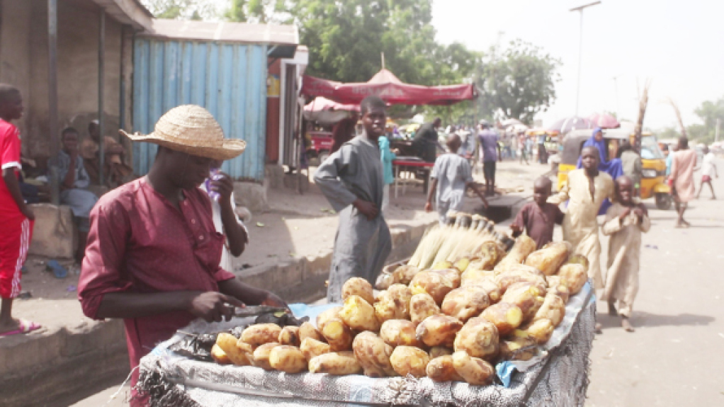 Economic hardship: Cassava, potatoes to the rescue in Borno, Taraba