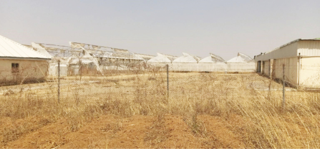 Why Plateau’s multibillion naira investments in greenhouse, others collapsed