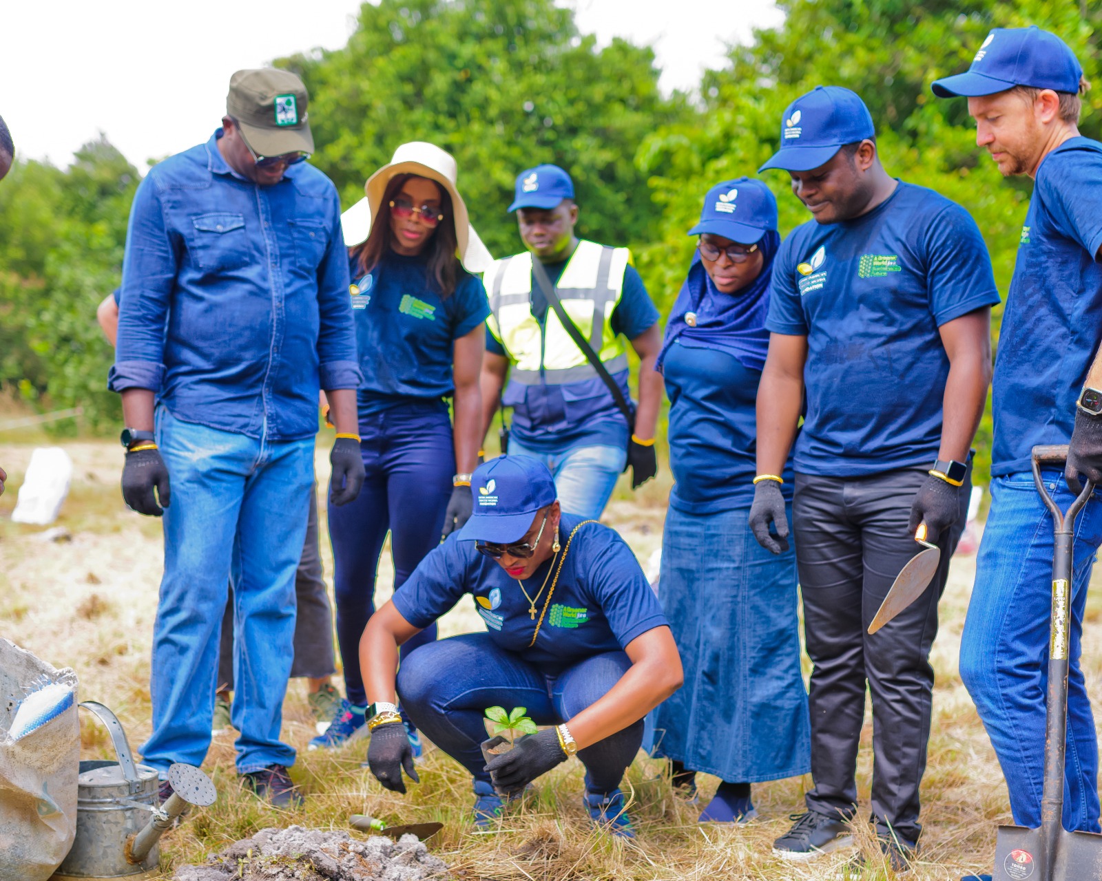 Foundation to plant 5,000 trees in Kano