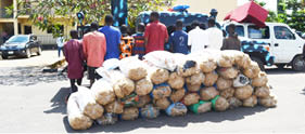 13 arrested over robbery, kidnapping in Ekiti