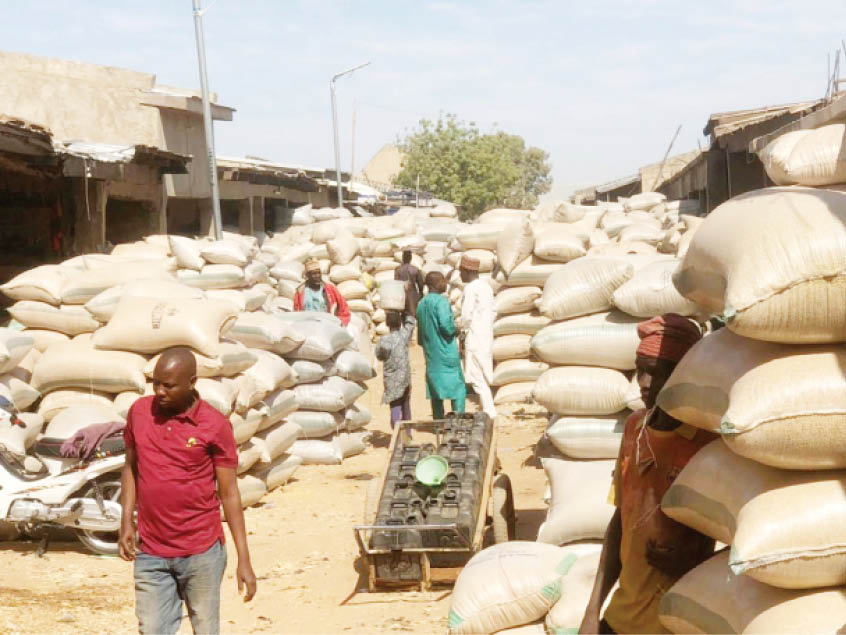 Panic as agro firms mop up soybeans in Kano markets