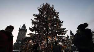 Falling Christmas Tree Kills Woman, Injures Two In Belgium