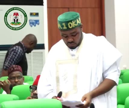 2024 Budget: Reps Deputy Spokesman blames election tribunal fatigue for colleague’s ‘careless’ statement