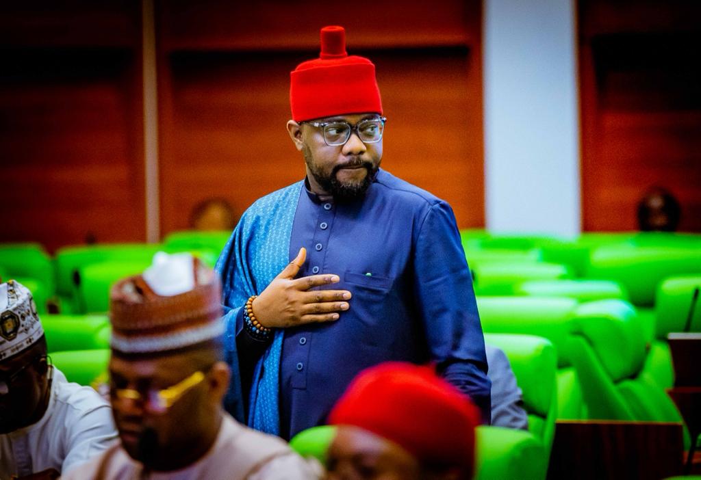 Ugochinyere Hails FG, Abbas, Gbajabiamila, Others Over Imo Erosion Site Inclusion In 2024 Budget