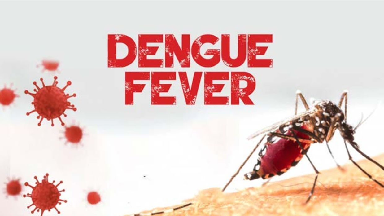 NIGERIA DAILY: Why You Should Avoid Dengue Fever