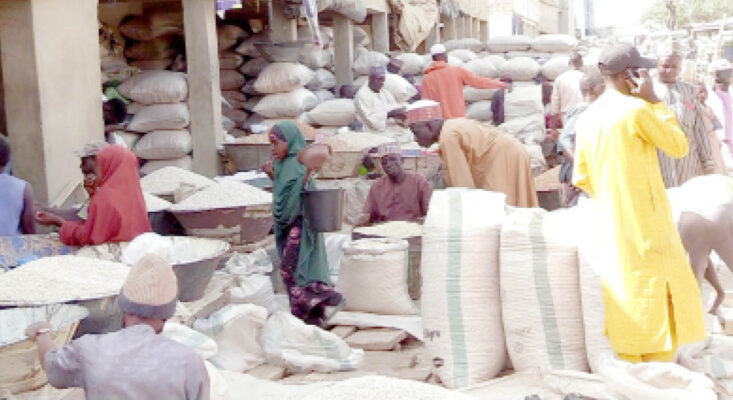 Naira devaluation: How neighbouring countries, others feast on Nigeria's  cheap grains - Daily Trust