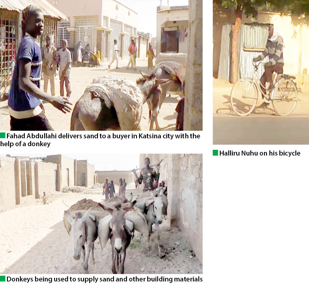 katsina residents turn to ox driven carts, donkeys, bicycles to cut transportation cost