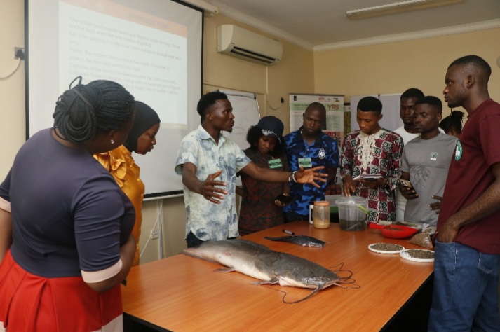 IITA trains 1,918 youths in agribusiness, targets 10,000 beneficiaries