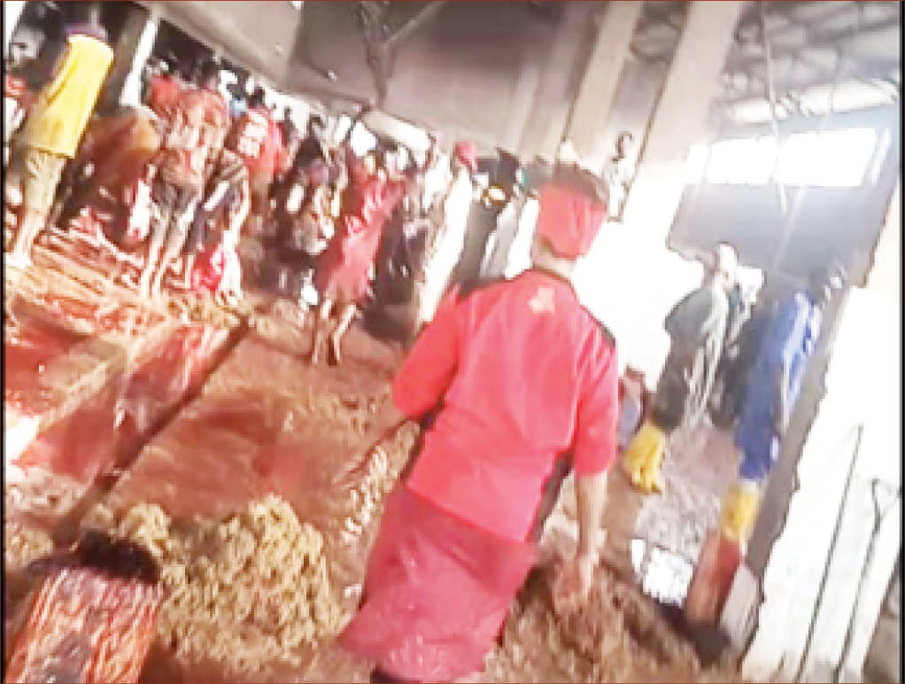 a lady disposing of cow dung with the same pan used to move meat in karu abattoir