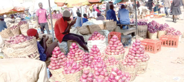 an onion market