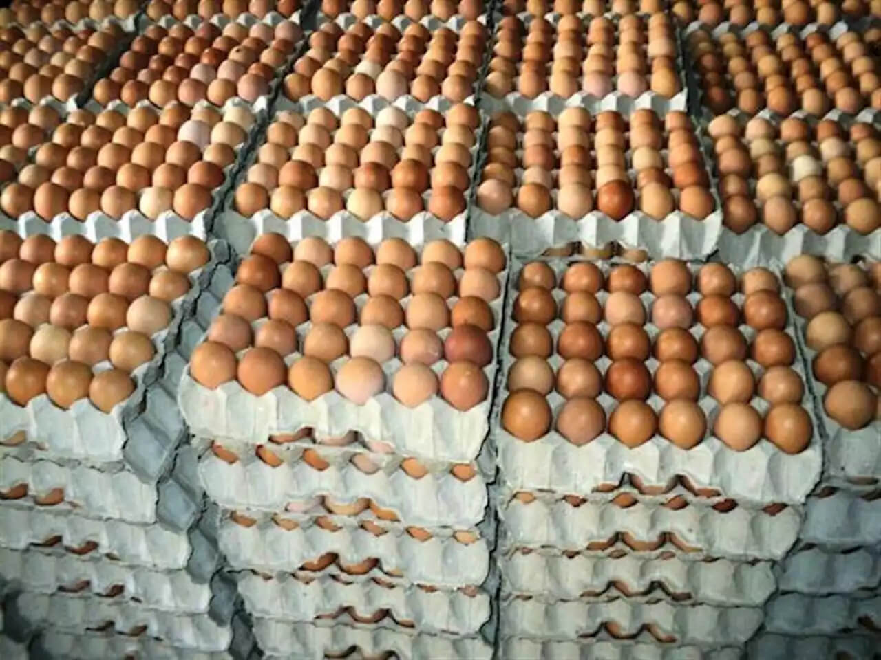 NIGERIA DAILY: Nigeria Has The Cheapest Egg In The World- Poultry Farmers Association