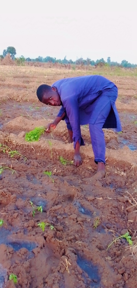 How fuel subsidy removal forced dry season farmers out of business