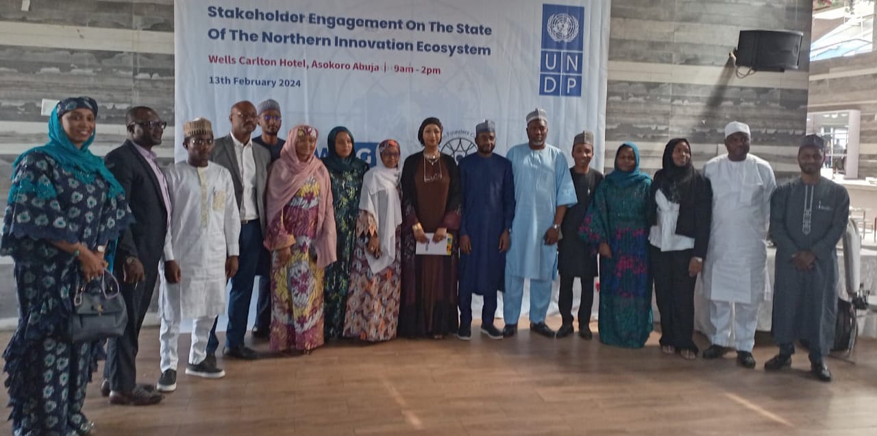 NITDA, UNDP, others seek dev’t in northern ecosystem