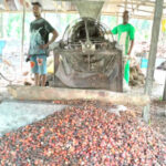 oil palm processing centre