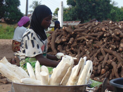 A significant number of women are building houses from the proceeds of the cassava trade