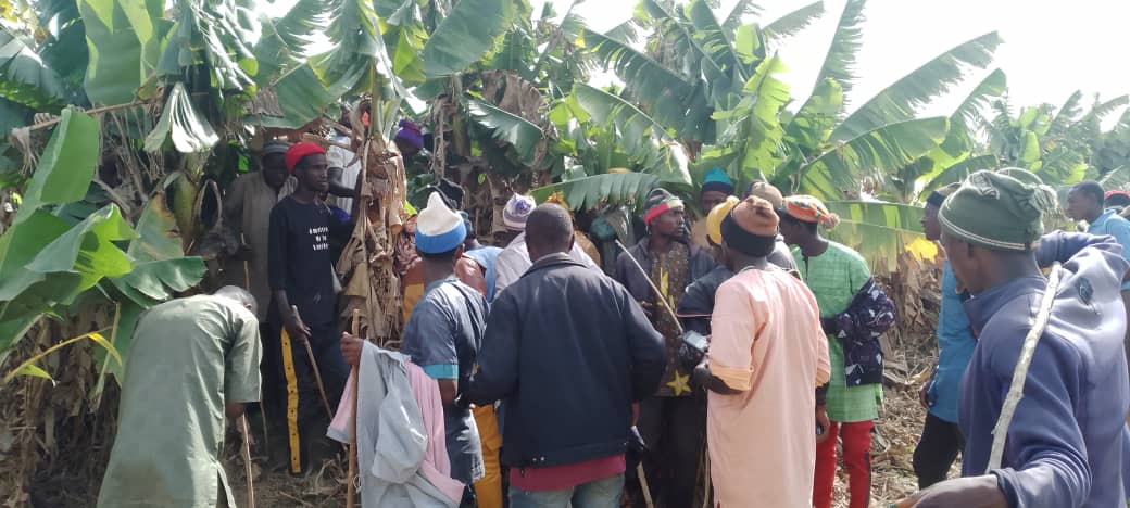 12-year-old herder killed in fresh Plateau attack