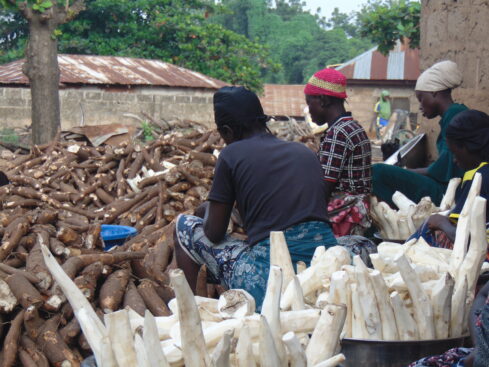 its as though everyone comes out to peel cassava